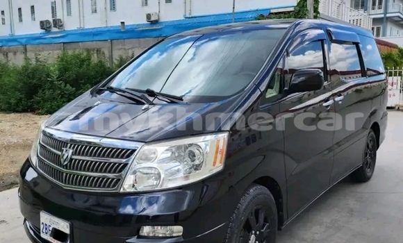 Buy Used Toyota Alphard Black Car in Cheom Ksan in Preah Vihear Province Buy Used Toyota Alphard Black Car in Cheom Ksan in Preah Vihear Province