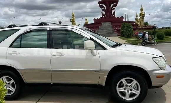 Buy Used Lexus RX 330 White Car in Cheom Ksan in Preah Vihear Province Buy Used Lexus RX 330 White Car in Cheom Ksan in Preah Vihear Province