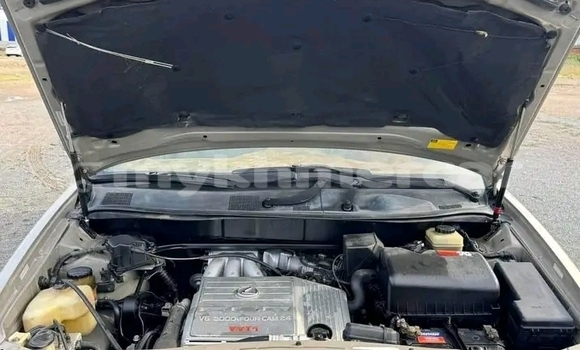 Buy Used Lexus RX 330 Other Car in Cheom Ksan in Preah Vihear Province Buy Used Lexus RX 330 Other Car in Cheom Ksan in Preah Vihear Province