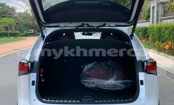 Buy Used Lexus NX White Car in Cheom Ksan in Preah Vihear Province Buy Used Lexus NX White Car in Cheom Ksan in Preah Vihear Province