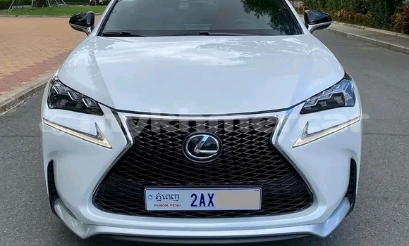 Buy Used Lexus NX White Car in Cheom Ksan in Preah Vihear Province Buy Used Lexus NX White Car in Cheom Ksan in Preah Vihear Province