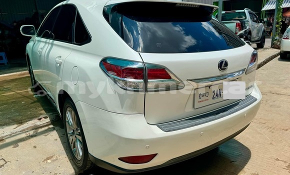 Buy Used Lexus RX White Car in Phnom Penh in Phnom Penh Buy Used Lexus RX White Car in Phnom Penh in Phnom Penh