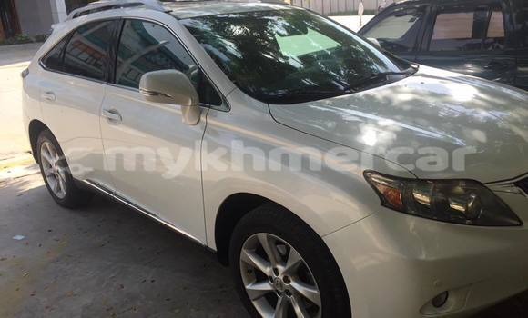 Buy Used Lexus RX 350 White Car in Phnom Penh in Phnom Penh