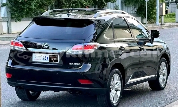 Buy Used Lexus RX 330 Black Car in Kep in Kep Province Buy Used Lexus RX 330 Black Car in Kep in Kep Province