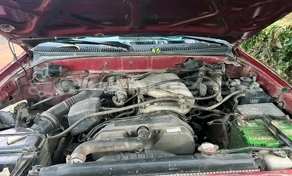 Buy Used Toyota Tacoma Red Car in DΔm ThnΔm in Kampot Province Buy Used Toyota Tacoma Red Car in DΔm ThnΔm in Kampot Province