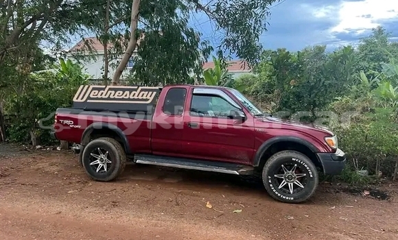 Buy Used Toyota Tacoma Red Car in DΔm ThnΔm in Kampot Province Buy Used Toyota Tacoma Red Car in DΔm ThnΔm in Kampot Province