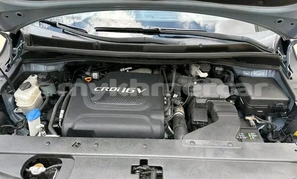 Buy Used Kia Carnival Other Car in Chbar Mon in Kampong Speu Province Buy Used Kia Carnival Other Car in Chbar Mon in Kampong Speu Province