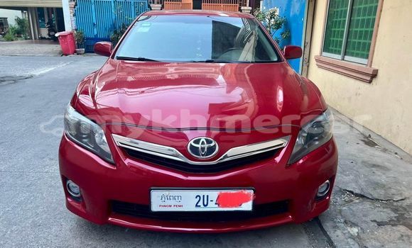 Buy Used Toyota Camry Red Car in Banlung in Ratanakiri Province Buy Used Toyota Camry Red Car in Banlung in Ratanakiri Province