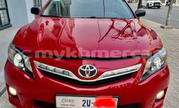 Buy Used Toyota Camry Red Car in Banlung in Ratanakiri Province Buy Used Toyota Camry Red Car in Banlung in Ratanakiri Province