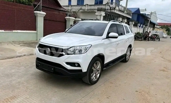 Buy Used Hyundai i10 White Car in Bavet in Svay Rieng Province Buy Used Hyundai i10 White Car in Bavet in Svay Rieng Province