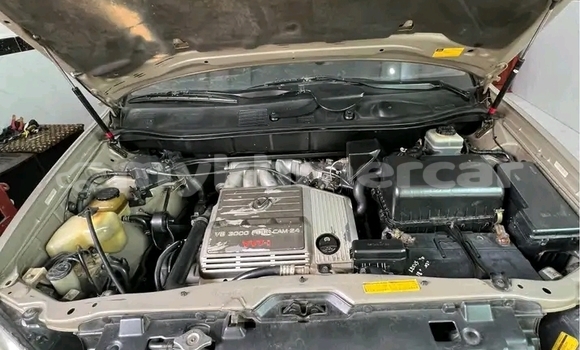 Buy Used Lexus RX 300 Other Car in Kep in Kep Province Buy Used Lexus RX 300 Other Car in Kep in Kep Province