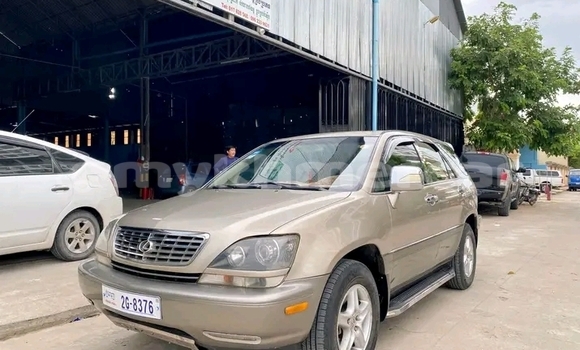 Buy Used Lexus RX 330 Other Car in Mongkol Borey in Banteay Meanchey Province Buy Used Lexus RX 330 Other Car in Mongkol Borey in Banteay Meanchey Province