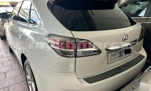 Buy Used Lexus RX 350 White Car in Khŭm Sráng in Kampong Speu Province Buy Used Lexus RX 350 White Car in Khŭm Sráng in Kampong Speu Province