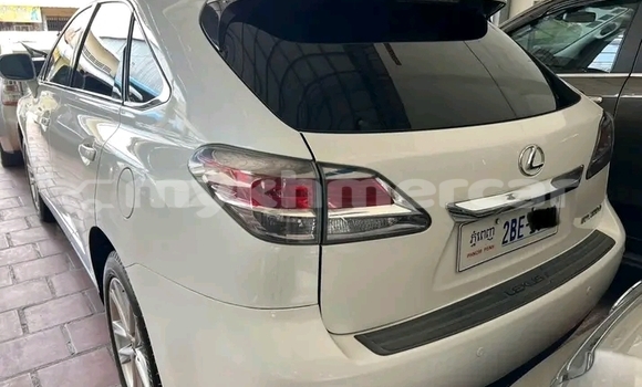 Buy Used Lexus RX 350 White Car in Kep in Kep Province Buy Used Lexus RX 350 White Car in Kep in Kep Province