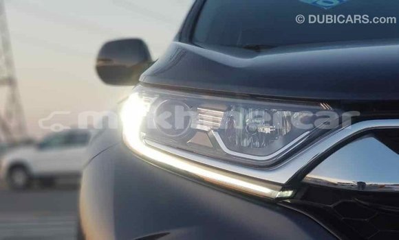 Acheter Import Moto Honda C Autre à Import - Dubai, Kampot Province Acheter Import Moto Honda C Autre à Import - Dubai, Kampot Province