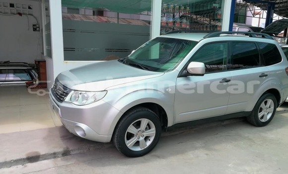 Buy Used Subaru Forester Silver Car in Phnom Penh in Phnom Penh