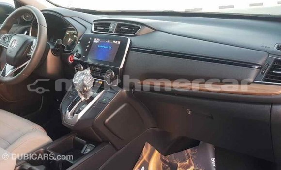 Acheter Import Moto Honda C Autre à Import - Dubai, Kampot Province Acheter Import Moto Honda C Autre à Import - Dubai, Kampot Province