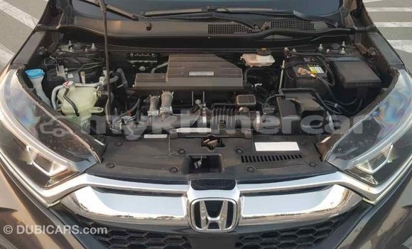 Buy Import Honda C Other Bike in Import - Dubai in Kampot Province