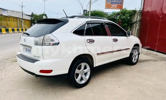 Buy New Lexus RX 350 White Car in Cheom Ksan in Preah Vihear Province Buy New Lexus RX 350 White Car in Cheom Ksan in Preah Vihear Province