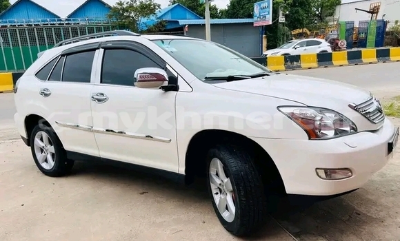 Buy New Lexus RX 350 White Car in Cheom Ksan in Preah Vihear Province Buy New Lexus RX 350 White Car in Cheom Ksan in Preah Vihear Province