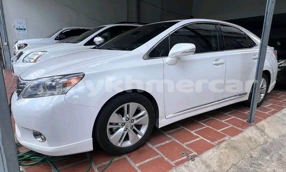 Buy Used Lexus RC F White Car in Chbar Mon in Kampong Speu Province Buy Used Lexus RC F White Car in Chbar Mon in Kampong Speu Province