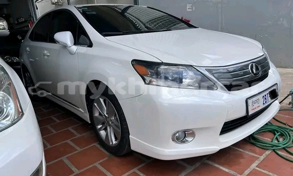 Buy Used Lexus RC F White Car in Chbar Mon in Kampong Speu Province Buy Used Lexus RC F White Car in Chbar Mon in Kampong Speu Province