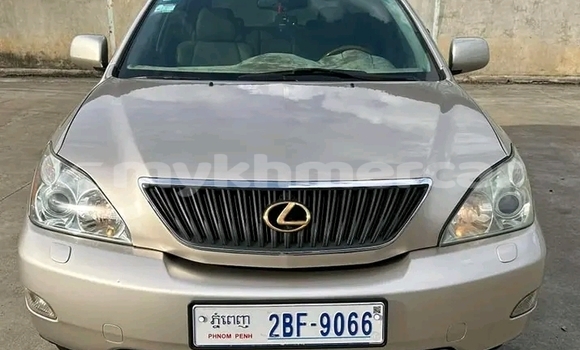 Buy Used Lexus RX 330 Other Car in Cheom Ksan in Preah Vihear Province Buy Used Lexus RX 330 Other Car in Cheom Ksan in Preah Vihear Province