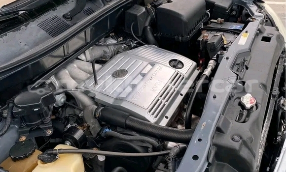 Acheter Occasion Voiture Lexus RX 330 Autre à Neak Leung, Prey Veng Province Acheter Occasion Voiture Lexus RX 330 Autre à Neak Leung, Prey Veng Province