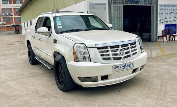 Buy Used Cadillac Escalade White Car in Bavet in Svay Rieng Province