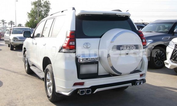 ទិញ នាំចូល Toyota Prado White ឡាន} ក្នុង Import - Dubai ក្នុង Kampot Province ទិញ នាំចូល Toyota Prado White ឡាន} ក្នុង Import - Dubai ក្នុង Kampot Province