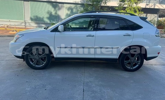 Buy Used Lexus RX White Car in Chbar Mon in Kampong Speu Province Buy Used Lexus RX White Car in Chbar Mon in Kampong Speu Province