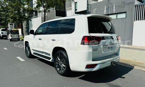 Buy Used Toyota Land Cruiser White Car in Chbar Mon in Kampong Speu Province Buy Used Toyota Land Cruiser White Car in Chbar Mon in Kampong Speu Province