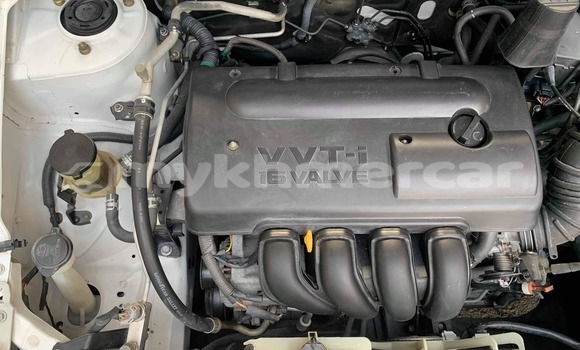 Buy Used Toyota Corolla Other Car in Chbar Mon in Kampong Speu Province Buy Used Toyota Corolla Other Car in Chbar Mon in Kampong Speu Province