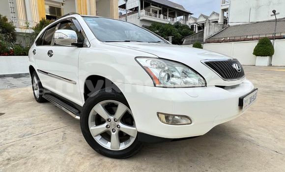 Buy Used Lexus RX 300 White Car in Bavet in Svay Rieng Province Buy Used Lexus RX 300 White Car in Bavet in Svay Rieng Province