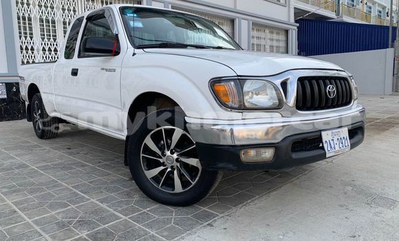 Buy Used Toyota Tacoma White Car in Chbar Mon in Kampong Speu Province