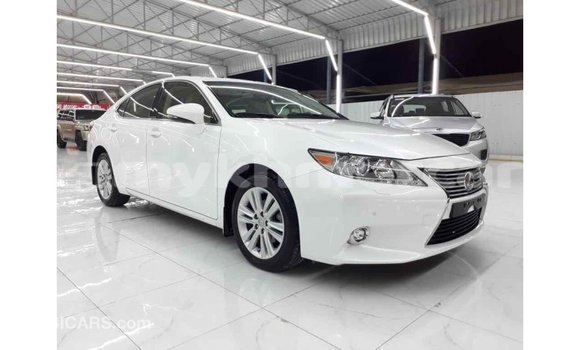 ទិញ នាំចូល Lexus ES White ឡាន} ក្នុង Import - Dubai ក្នុង Kampot Province ទិញ នាំចូល Lexus ES White ឡាន} ក្នុង Import - Dubai ក្នុង Kampot Province