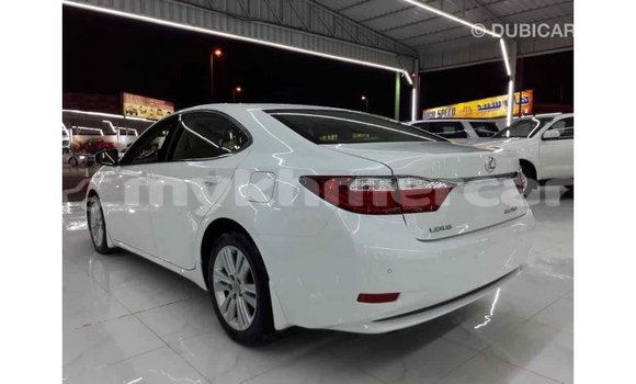 ទិញ នាំចូល Lexus ES White ឡាន} ក្នុង Import - Dubai ក្នុង Kampot Province ទិញ នាំចូល Lexus ES White ឡាន} ក្នុង Import - Dubai ក្នុង Kampot Province