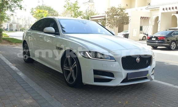 Buy Used Jaguar XF White Car in Phanomsok in Oddar Meanchey Province Buy Used Jaguar XF White Car in Phanomsok in Oddar Meanchey Province