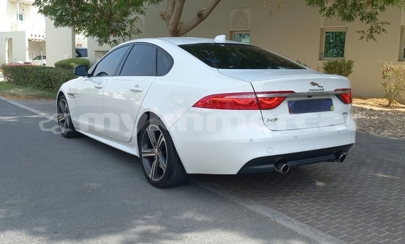 Buy Used Jaguar XF White Car in Phanomsok in Oddar Meanchey Province Buy Used Jaguar XF White Car in Phanomsok in Oddar Meanchey Province