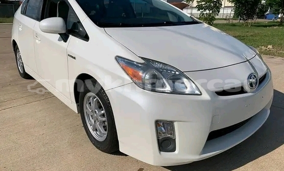 Buy Used Toyota Prius White Car in Bavet in Svay Rieng Province Buy Used Toyota Prius White Car in Bavet in Svay Rieng Province