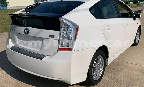 Buy Used Toyota Prius White Car in Bavet in Svay Rieng Province Buy Used Toyota Prius White Car in Bavet in Svay Rieng Province