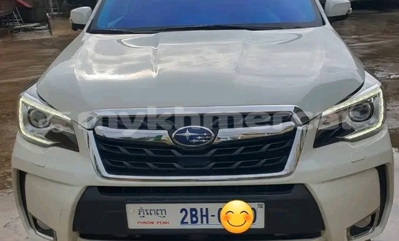 Buy Used Subaru Forester White Car in Chbar Mon in Kampong Speu Province Buy Used Subaru Forester White Car in Chbar Mon in Kampong Speu Province