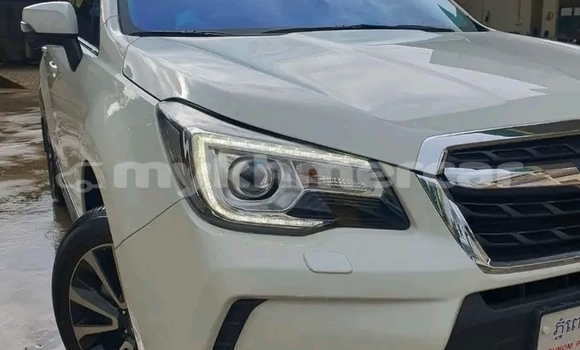 Buy Used Subaru Forester White Car in Chbar Mon in Kampong Speu Province Buy Used Subaru Forester White Car in Chbar Mon in Kampong Speu Province