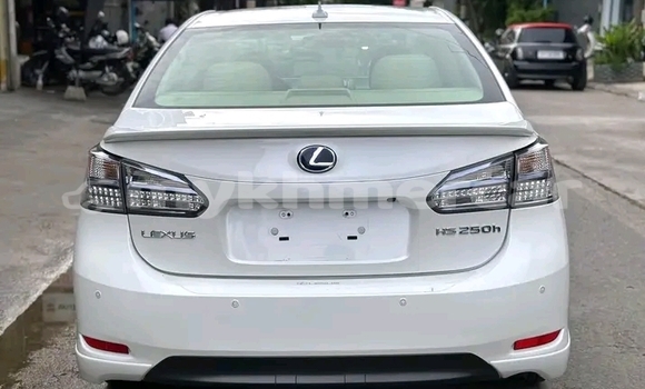 Buy Used Lexus RX White Car in Chbar Mon in Kampong Speu Province Buy Used Lexus RX White Car in Chbar Mon in Kampong Speu Province