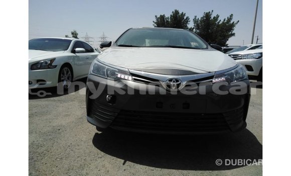 ទិញ នាំចូល Toyota Corolla Other ឡាន} ក្នុង Import - Dubai ក្នុង Kampot Province ទិញ នាំចូល Toyota Corolla Other ឡាន} ក្នុង Import - Dubai ក្នុង Kampot Province