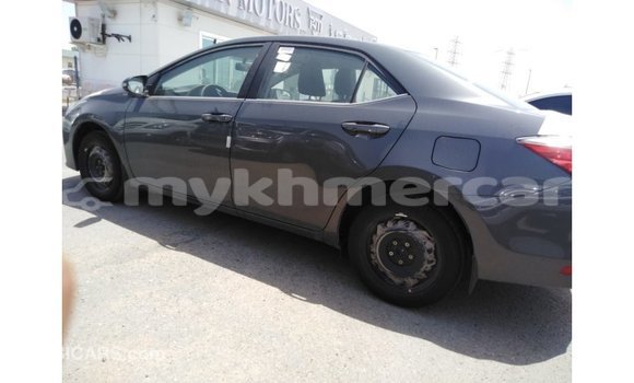 ទិញ នាំចូល Toyota Corolla Other ឡាន} ក្នុង Import - Dubai ក្នុង Kampot Province ទិញ នាំចូល Toyota Corolla Other ឡាន} ក្នុង Import - Dubai ក្នុង Kampot Province