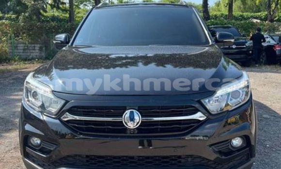 Buy Used SsangYong Rexton Black Car in Cheom Ksan in Preah Vihear Province