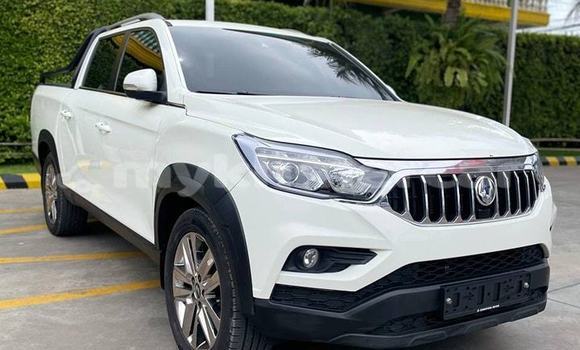 Buy Used SsangYong Rexton White Car in Battambang in Battambang Province