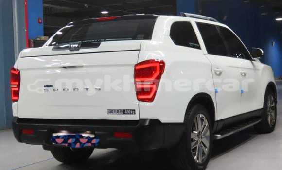 Acheter Occasion Voiture SsangYong Rexton Blanc à Battambang, Battambang Province Acheter Occasion Voiture SsangYong Rexton Blanc à Battambang, Battambang Province