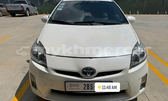 Buy Used Toyota Prius White Car in Chbar Mon in Kampong Speu Province Buy Used Toyota Prius White Car in Chbar Mon in Kampong Speu Province